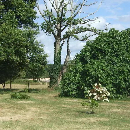 Belge'attitude Guest house Commequiers