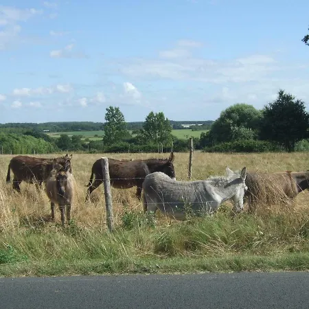 Pensjonat Belge'attitude 3*