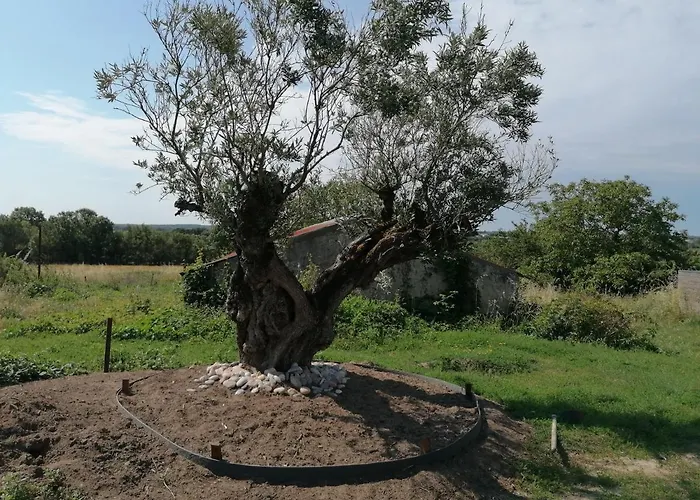 Belge'attitude Penzion