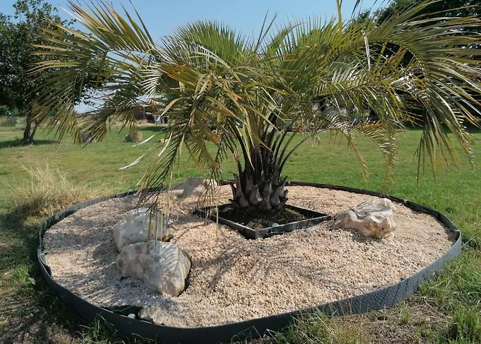 Belge'attitude 3* Commequiers