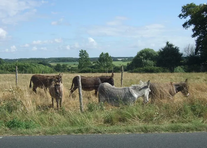 Penzion Belge'attitude 3*